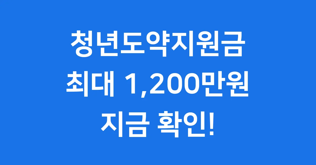 청년도약지원금 2025년 지원 제도 안내